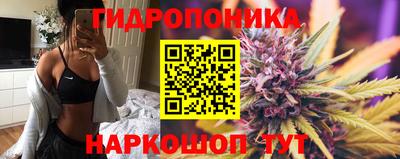 прущие грибы Туймазы