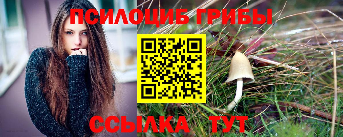 Псилоцибиновые грибы ЛСД  Вход с VPN  Аргун  Псилоцибиновые грибы Psilocybine cubensis 